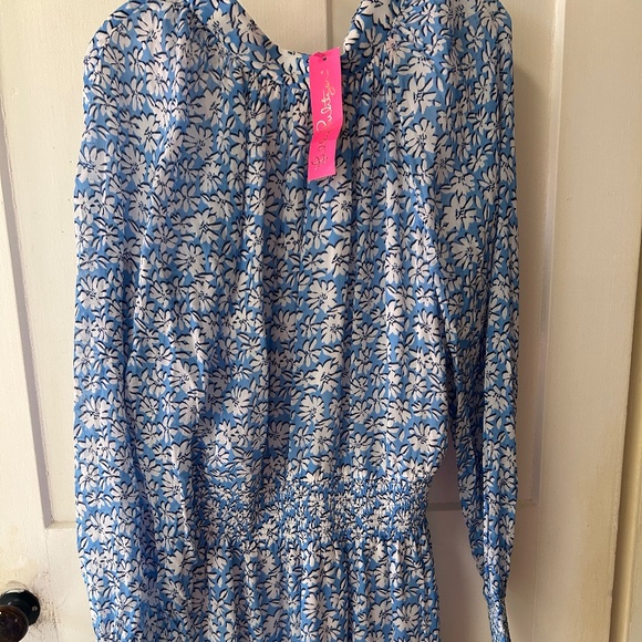 Lily Pulitzer Blue and White Floral Dress - Picture 1 of 5